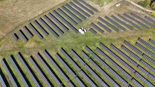 Náhledová Servis - Repowering – FVE Poltár (2026)
